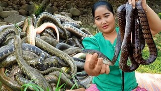 Yummy Amazing Cooking Snake With Secret Recipe & Cooking Life