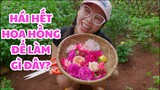 CHỊ ĐÃ LÀM NƯỚC HOA HỒNG BẰNG CÁCH NÀY ĐÂY