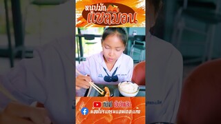 หนูบ่มักแซลมอน - น้องสตางค์【 short ตัวอย่าง MV】