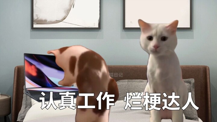 When My Boyfriend’s Attention Is All Over the Place