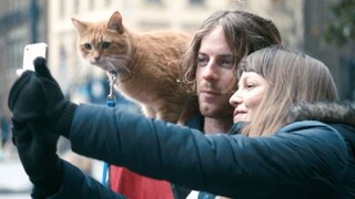 A homeless man accidentally adopted a stray cat, but he didn't expect the cat to bring him huge weal