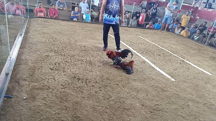 walang  kondisyon basa lang ng ulan ng dalawang araw pero pag bwenas nga naman panalo😆😆