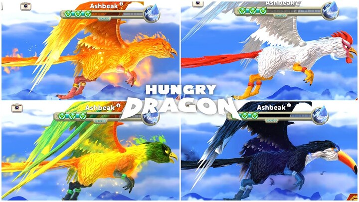 ASHBEAK DRAGON UNLOCKED & ALL SKINS  GAMEPLAY. Pyropoyo, Junglebeak, Toucandoit | Hungry Dragon