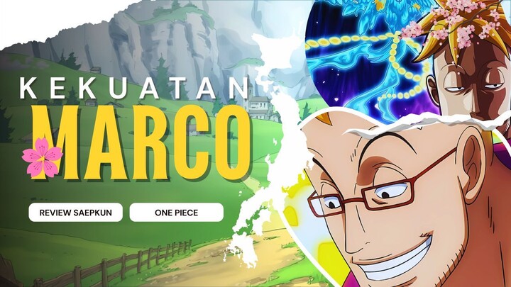 KEKUATAN MARCO SANG KOMANDAN DIVISI PERTAMA BAJAK LAUT SHIROHIGE | ONE PIECE