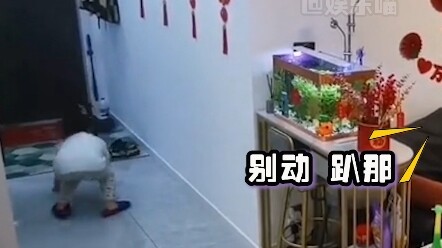 Anak laki-laki: Ayah, punya ayah adalah hal yang membuatku “kagum” #lucu