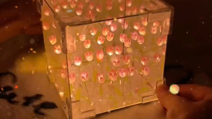 Ai mà hiểu được chứ～ Vì tôi nói sợ bóng tối, bạn trai đã tự tay làm cho tôi chiếc đèn ngủ hình biển 