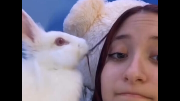 🐰🐰🐰