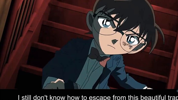 [ Detective Conan || All members || Call M24 with 23 theaters and the whole main story]𝕲𝖗𝖆𝖛𝖎𝖙𝖞𝖜𝖆𝖑𝖑