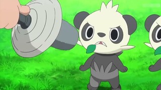 Tám cách tiến hóa độc đáo nhất trong Pokémon, cách cuối cùng có thể nói là rất hiếm