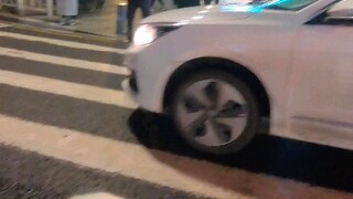 If it weren't for the service dog Yuki, the cane might have been broken by the car.