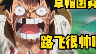 Green Bean Witch Watch [Lagu suci One Piece "Hope"! Tanpamu, aku tidak bisa menjadi One Piece!][Hana