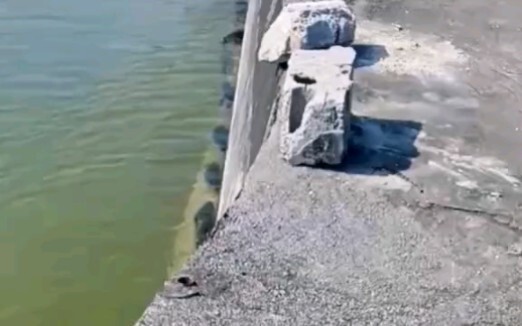 นักตกปลาอยู่ไหน?