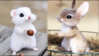 AWW SO CUTE! Cutest baby animals Videos Compilation Cute moment of the Animals - Cutest Animals #44