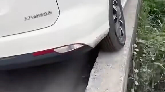 Amazing driving skills