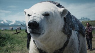 披甲熊：你说我为什么能活几千年