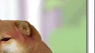 I don't know how to be good to you