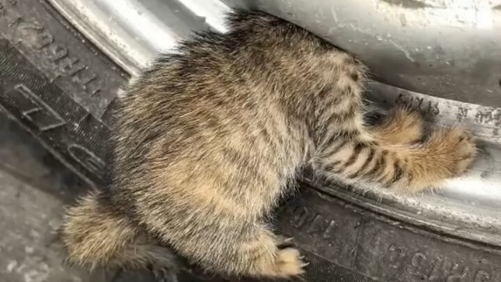 Kepala Hakimi terjepit oleh ban.