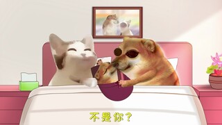 新号，别搞！