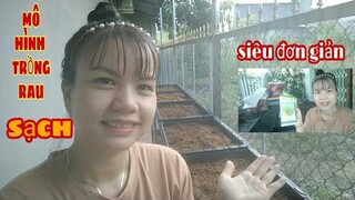 #65: Mô hình trồng rau sạch tại nhà siêu đơn giản hiệu quả