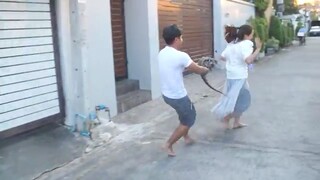 กิ่งก่าจ๋า แหล้งแฟนเปิ้ลนาคร