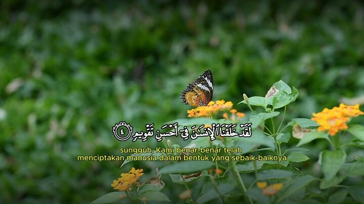 Murottal Surah At-tin