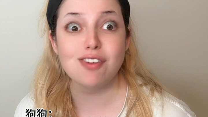 Ketika di rumahku ada kucing dan anjing sekaligus itu kayak gini