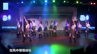 [黑喵]xql的小心思