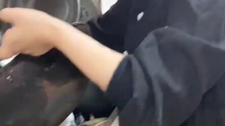Em dâu ơi, mở cửa đi em dâu, em dâu ơi, là anh đây mà, mau mở cửa đi em dâu!