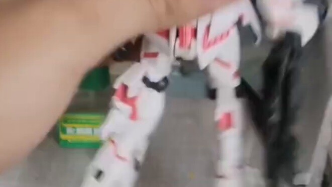 "Binatang Soliditas"