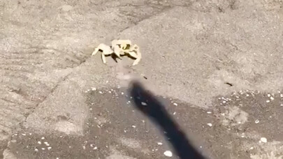 "Not on the Same Layer"