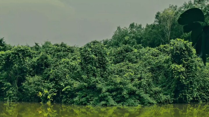অপূর্ণতা,,,❤️😓❤️