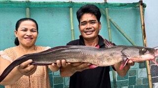 MẮM KHO CÁ NGÁT • Bữa Cơm Nhà Đạm Bạc Thôn Quê | Ngư Dân Miền Tây