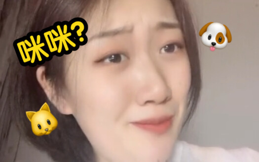 كلّ القطط والكلاب في البلاد لديها اسم موحّد