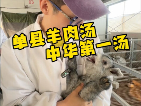 After revisiting Heze, we headed straight to Dan County to witness how a single green mountain goat 