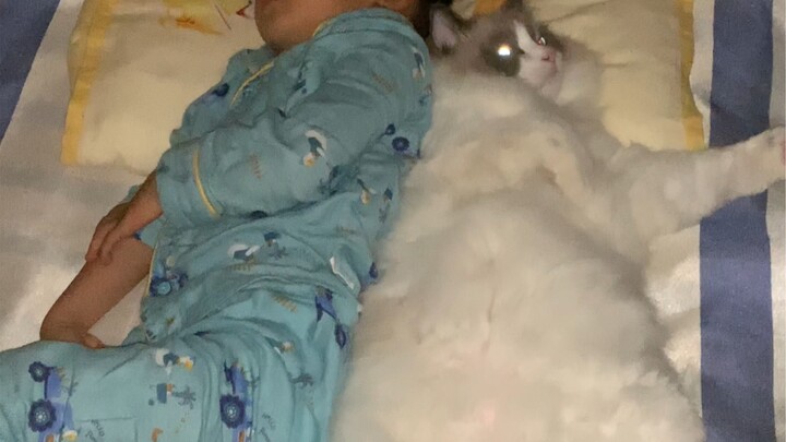 When a human baby accidentally ends up lying on the cat while sleeping, the cat’s reaction is truly 
