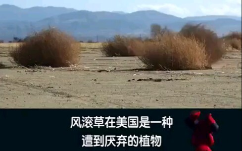 Luôn có một nhóm mê ăn đang âm thầm bảo vệ đất nước chúng ta