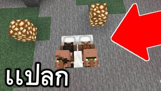 สิ่งเเปลกๆ!! ที่คุณอาจจะไม่รู้ ในมายคราฟล่าสุด | Minecraft PE