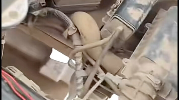 ความอยากเอาตัวรอดของรถคันนี้เต็มสุดๆ