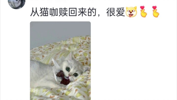 The Chinese “saving the fallen” at heart ‖ You’re the one who forced it into the brothel, and you’re