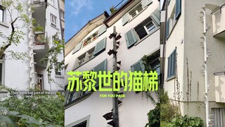 苏黎世的猫梯🐈