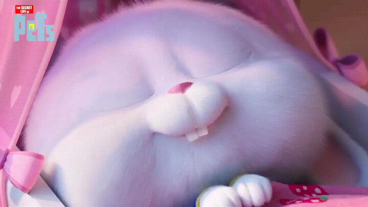 [Film Animasi Barat] "The Secret Life Of Pets": Adegan Tuan Snowball