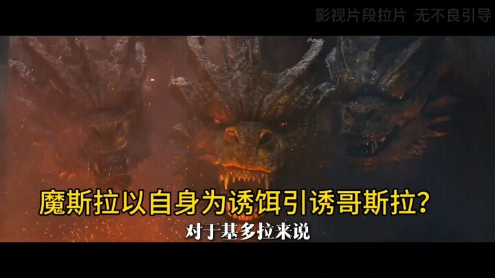 Did Mothra use herself as bait just to lure Godzilla?