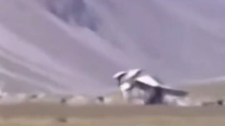 E se existissem terras além das grandes muralhas de gelo?
