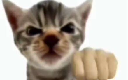 😾👊💥