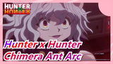 [Hunter x Hunter] Chimera Ant Arc, Epic Fight Scenes, Come on, Yoshihiro Togashi