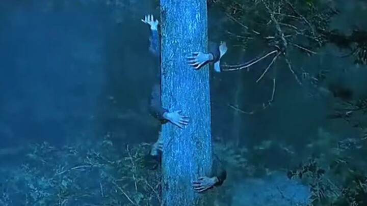 Every time they go out, they have to tie a rope to themselves—because as soon as the rope comes loos