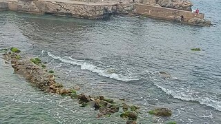 الجزائر