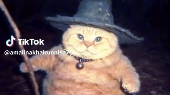 kucing gendut penyihir