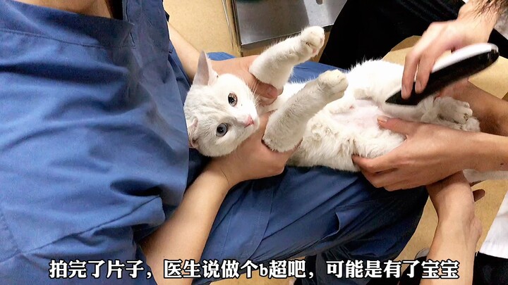 Anggota baru akan menjadi seorang ibu, saatnya menyaksikan kelahiran nyawa baru!