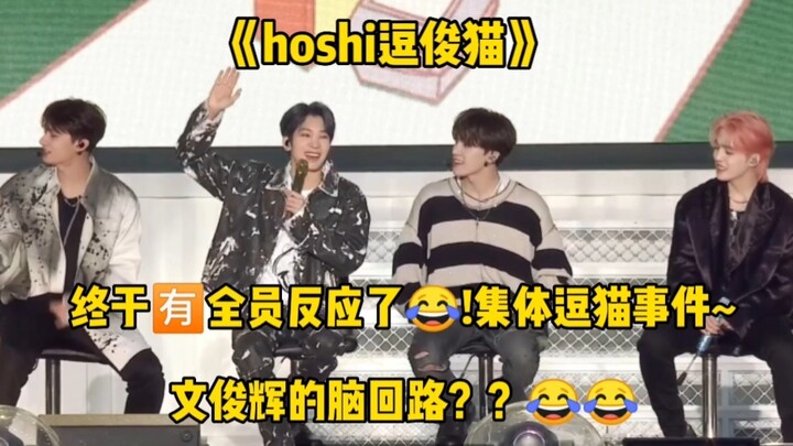 [SEVENTEEN] The group teases the cute cats, and Wonwoo’s thought process…